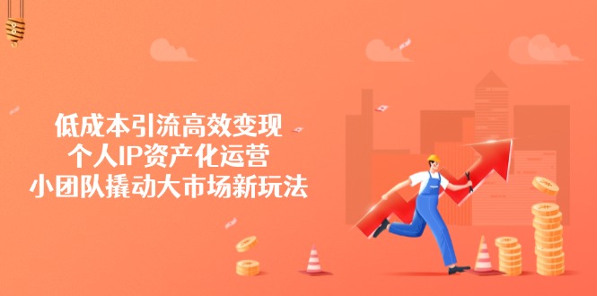 低成本引流高效变现，个人IP资产化运营，小团队撬动大市场新玩法-偏门项目网