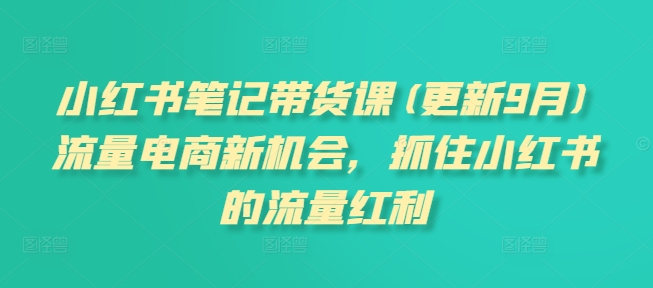 小红书笔记带货课(更新25年1月)流量电商新机会，抓住小红书的流量红利-偏门项目网