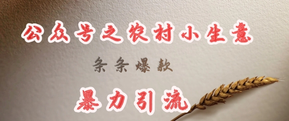 deepseek写农村小项目，条条爆款，暴力引流-偏门项目网