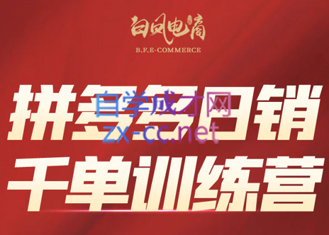 白凤电商·拼多多日销千单训练营(更新3月)-偏门项目网