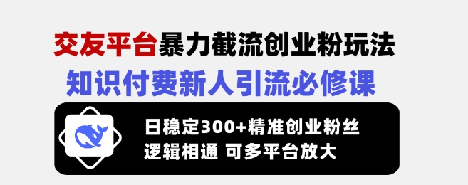 交友平台暴力截流创业粉玩法，知识付费新人引流必修课，日稳定300+精准创业粉丝，逻辑相通可多平台放大-偏门项目网