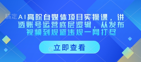 AI高阶自媒体项目实操课，讲透账号运营底层逻辑，从发布视频到规避违规一网打尽-偏门项目网