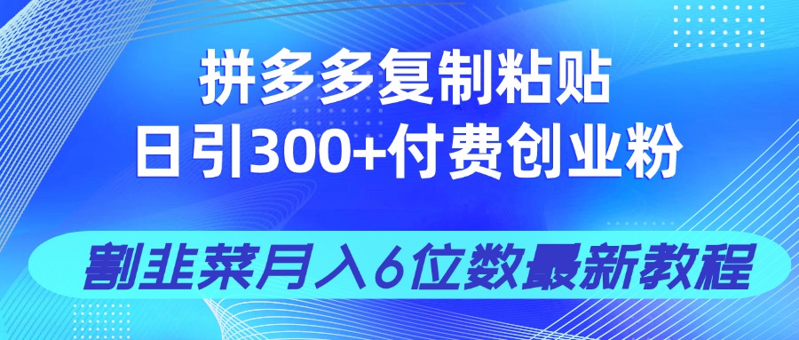 拼多多复制粘贴日引300+付费创业粉，割韭菜月入6位数最新教程！-偏门项目网