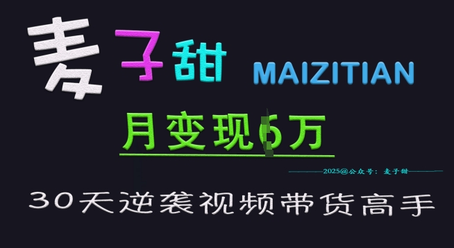 麦子甜30天逆袭视频带货高手，单月变现6W加特训营-偏门项目网