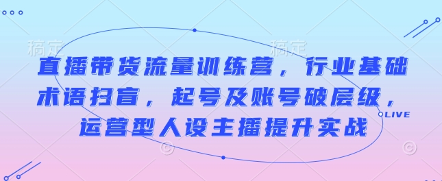直播带货流量训练营，行业基础术语扫盲，起号及账号破层级，运营型人设主播提升实战-偏门项目网