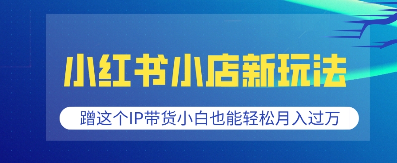 小红书小店新玩法，蹭这个IP带货，小白也能轻松月入过W【揭秘】-偏门项目网