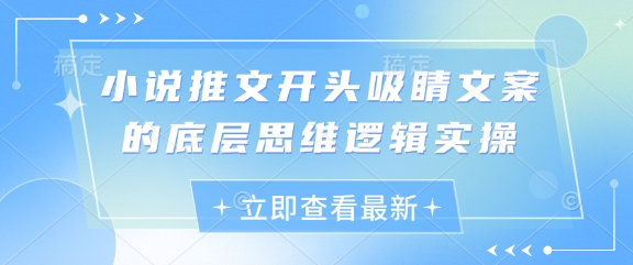 小说推文开头吸睛文案的底层思维逻辑实操-偏门项目网