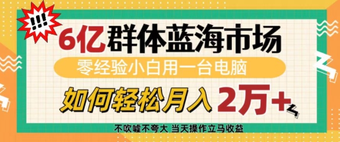 6亿群体蓝海市场，零经验小白用一台电脑，如何轻松月入过w【揭秘】-偏门项目网