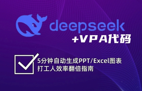 DeepSeek从入门到精通：解锁Excel和VBA高效办公新技能-偏门项目网
