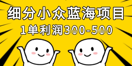 细分小众蓝海项目，一单利润3张，每月收入稳定过1w+-偏门项目网