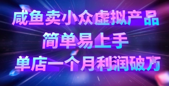 咸鱼卖小众虚拟产品，简单易上手，单店一个月利润破W-偏门项目网