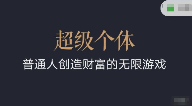 超级个体2024-2025翻盘指南，普通人创造财富的无限游戏-偏门项目网