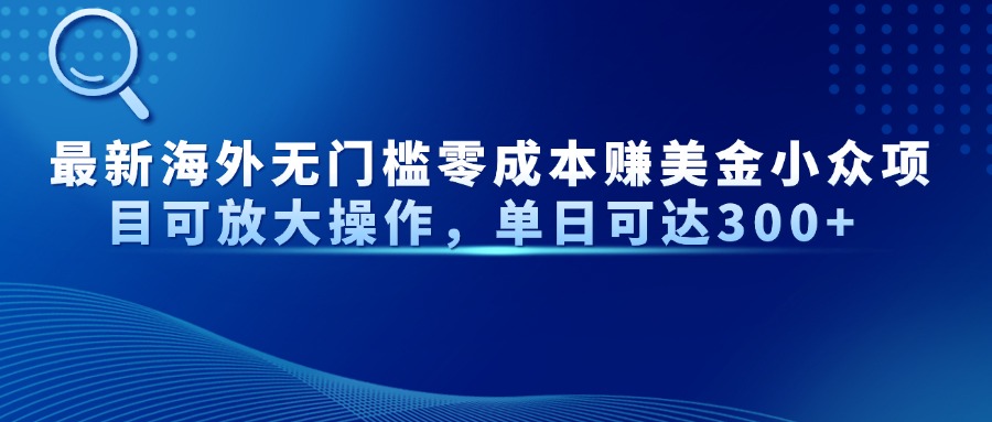 最新海外无门槛零成本赚美金小众项目可放大操作，单日可达300+-偏门项目网