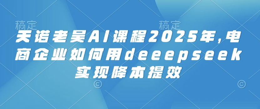 天诺老吴AI课程2025年，电商企业如何用deeepseek实现降本提效-偏门项目网