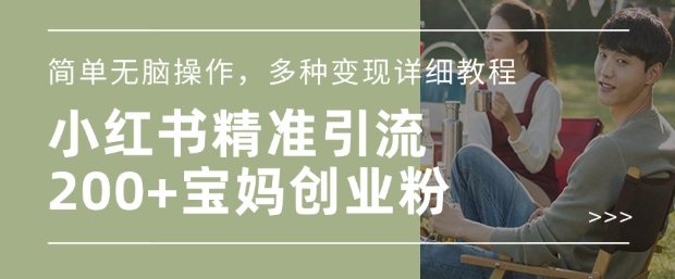 小红书混剪日引200+宝妈创业粉，简单无脑操作，多种变现详细教程-偏门项目网