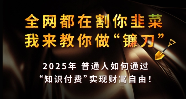 全网都在割你韭菜，我来教你做镰刀，2025年普通人如何通过 知识付费 实现财F自由【揭秘】-偏门项目网