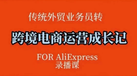 跨境电商速卖通运营课，​运营方法论+后台实操，逻辑清晰-偏门项目网