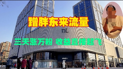 蹭胖东来流量，三天涨万粉，收益直接起飞-偏门项目网
