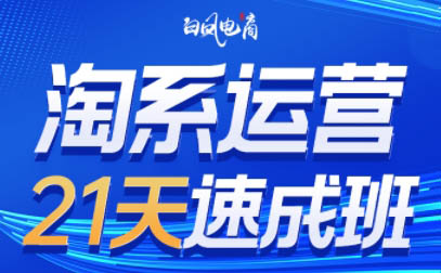 白凤电商·淘系运营21天速成班(更新4月)-偏门项目网
