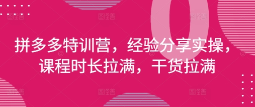 拼多多特训营，经验分享实操，课程时长拉满，干货拉满(更新25年4月)-偏门项目网