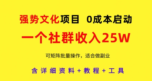 强势文化项目，一个社群收入25个W，0成本启动，可矩阵批量操作，原创详细实操教程-偏门项目网