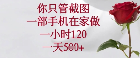 你只管截图，一部手机在家可以做，一小时120.一天5张+【揭秘】-偏门项目网