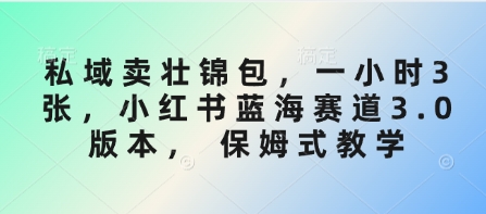 私域卖壮锦包，一小时3张，小红书蓝海赛道3.0版本， 保姆式教学-偏门项目网