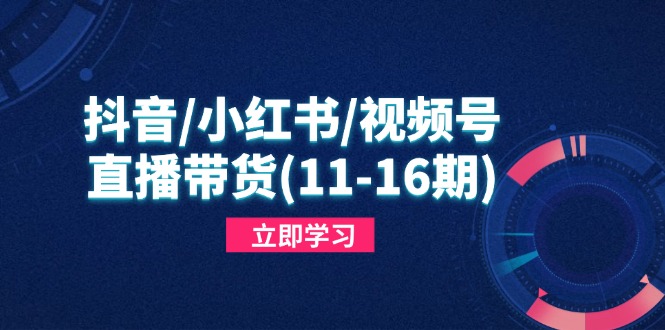 抖音/小红书/视频号/直播带货(11-16期-偏门项目网