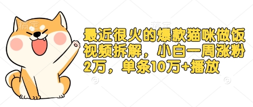 最近很火的爆款猫咪做饭视频拆解，小白一周涨粉2万，单条10万+播放(附保姆级教程)-偏门项目网