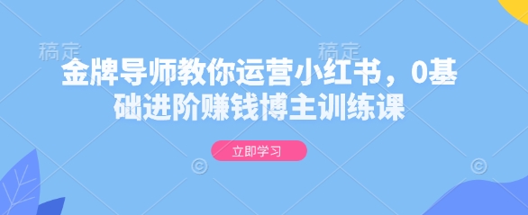 金牌导师教你运营小红书，0基础进阶赚钱博主训练课-偏门项目网