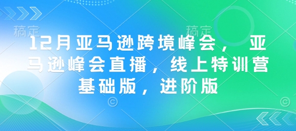 12月亚马逊跨境峰会， 亚马逊峰会直播，线上特训营基础版，进阶版-偏门项目网