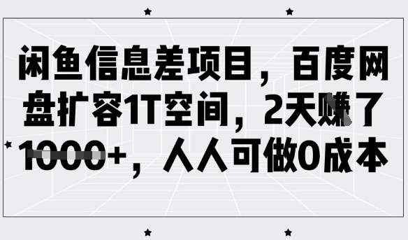 闲鱼信息差项目，百度网盘扩容1T空间，2天收益1k+，人人可做0成本-偏门项目网