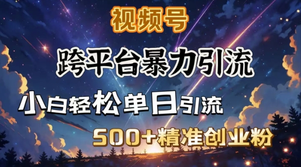 跨平台暴力引流，私域完美闭环，日引500+精准创业粉-偏门项目网