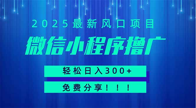 微信小程序撸广，最新风口项目，日入300+ 免费分享 可批量操作 小白可…-偏门项目网