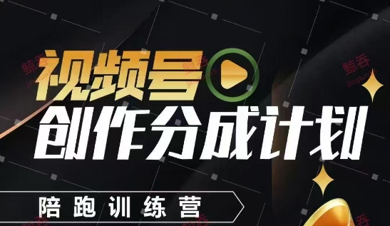 视频号创作分成计划陪跑训练营，手把手教会你如何制作视频，细水长流型项目-偏门项目网