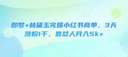 即梦+林黛玉完爆小红书商单，3天涨粉1千，靠怼人月入5k+-偏门项目网