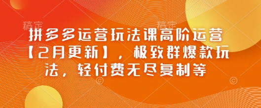 拼多多运营玩法课高阶运营【2月更新】，极致群爆款玩法，轻付费无尽复制等-偏门项目网