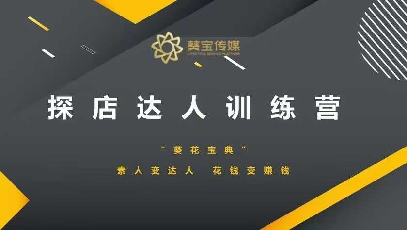 探店达人训练营，素人变达人，花钱变赚钱-偏门项目网