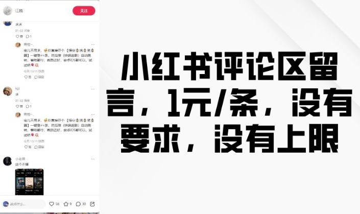 小红书评论区留言，1元条，没有要求，没有上限-偏门项目网