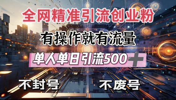全网独家引流创业粉，有操作就有流量，单人单日引流500+，不封号、不费号-偏门项目网