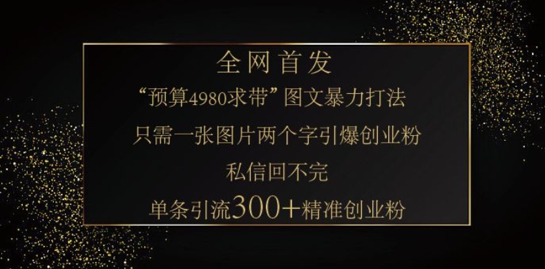 小红书神奇图片引流法，只需一张图，就能单条笔记凭借此方法，轻松引流 300 + 精准创业粉-偏门项目网