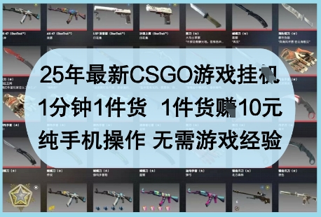 25年最新CSGO游戏挂G，1分钟1件货，1件货挣10元，纯手机操作，无需游戏经验【揭秘】-偏门项目网