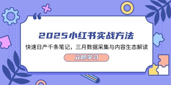 2025小红书实战方法，快速日产千条笔记，三月数据采集与内容生态解读-偏门项目网