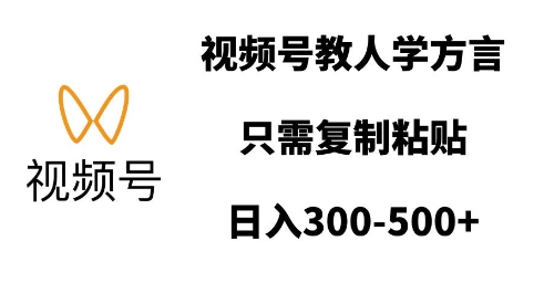 视频号教人学方言，只需复制粘贴，日入多张-偏门项目网
