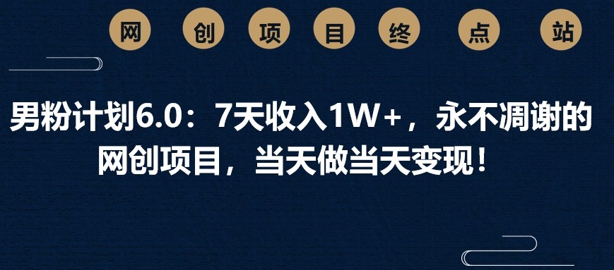 男粉计划6.0：7天收入1W+，永不凋谢的网创项目，当天做当天变现！-偏门项目网