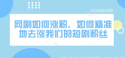 网剧如何涨粉，如何精准地去涨我们的短剧粉丝-偏门项目网