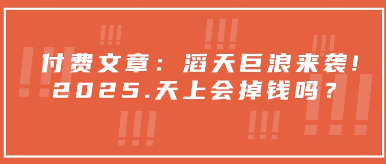 付费文章：滔天巨浪来袭！2025天上会掉钱吗？-偏门项目网