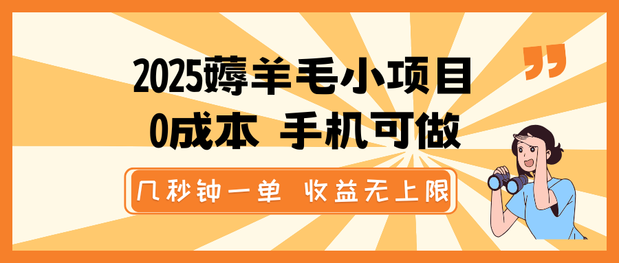 2025薅羊毛小项目，0成本 手机可做，几秒钟一单，收益无上限-偏门项目网