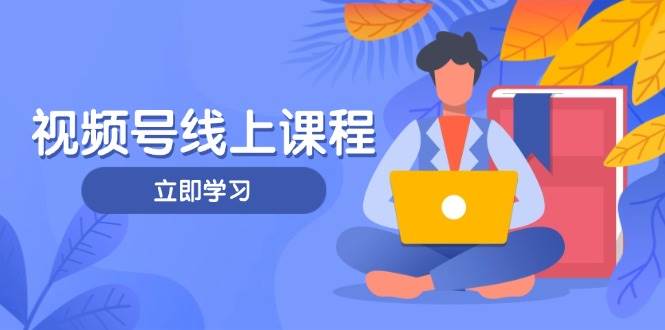 视频号实战课程，轻IP打造与运营技巧，掌握核心方法与策略-偏门项目网