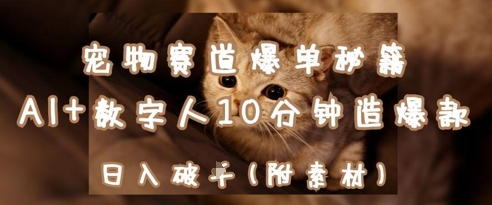 宠物赛道爆单秘籍：AI+数字人10分钟造爆款，日入1k-偏门项目网